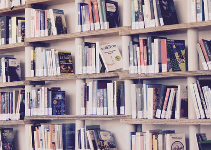 Hukuk tez danışmanlığı