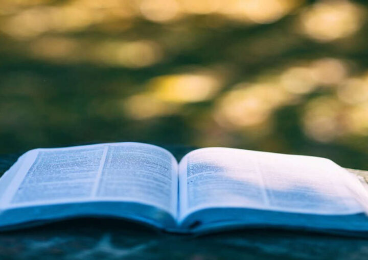 Hukuk tez yazım kuralları