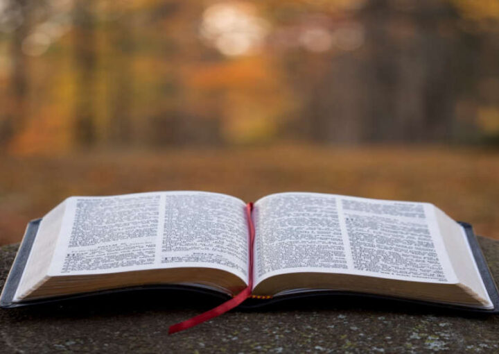 Hukuk tez yazım kuralları