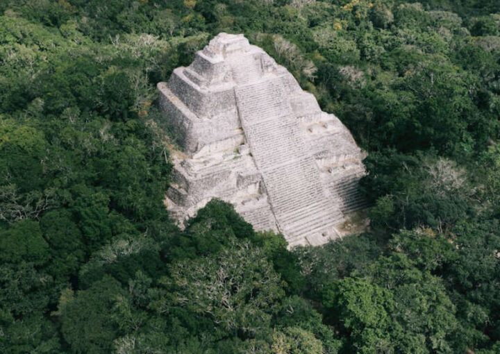 kıbrıs tez yazdırma danışmanlık