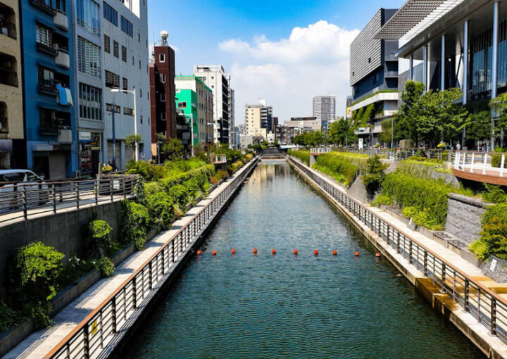 kıbrıs tez yazdırma danışmanlık