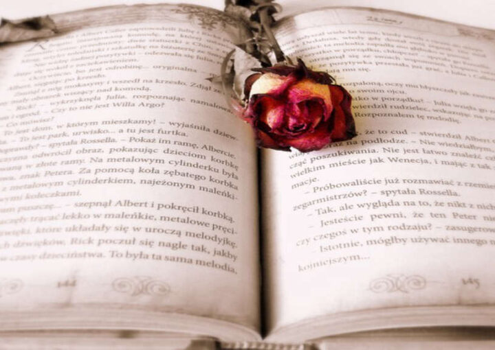 Hukuk tez danışmanı