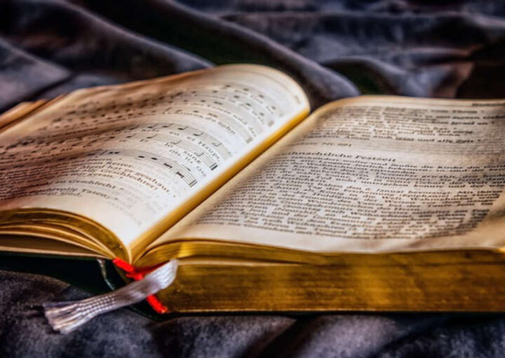 Hukuk tez danışmanı